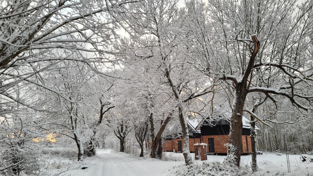Czas Na Las Zarnowska Exterior photo